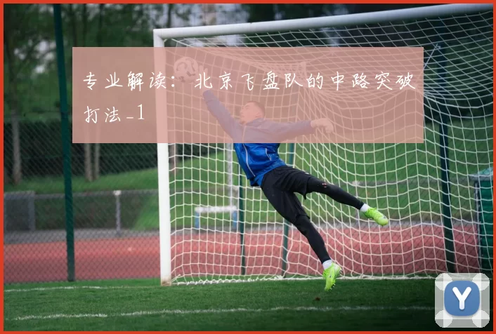 专业解读：北京飞盘队的中路突破打法_1