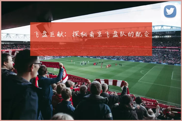 飞盘巨献：探秘南京飞盘队的配合