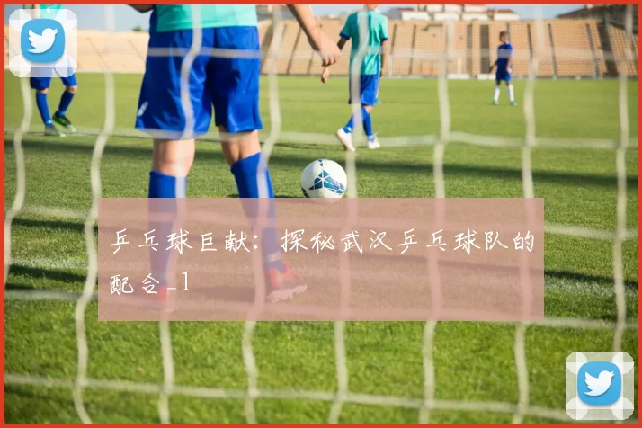 乒乓球巨献：探秘武汉乒乓球队的配合_1