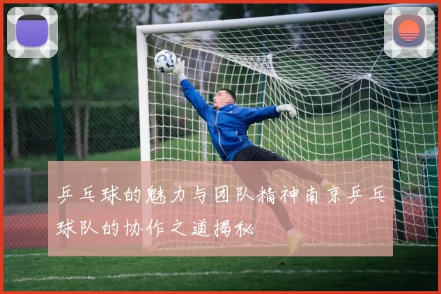 乒乓球的魅力与团队精神南京乒乓球队的协作之道揭秘