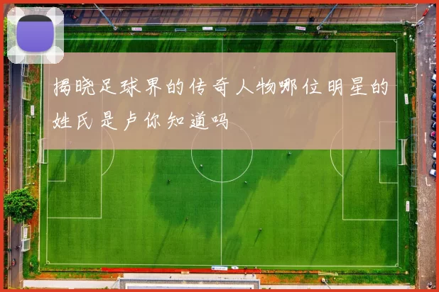 揭晓足球界的传奇人物哪位明星的姓氏是卢你知道吗