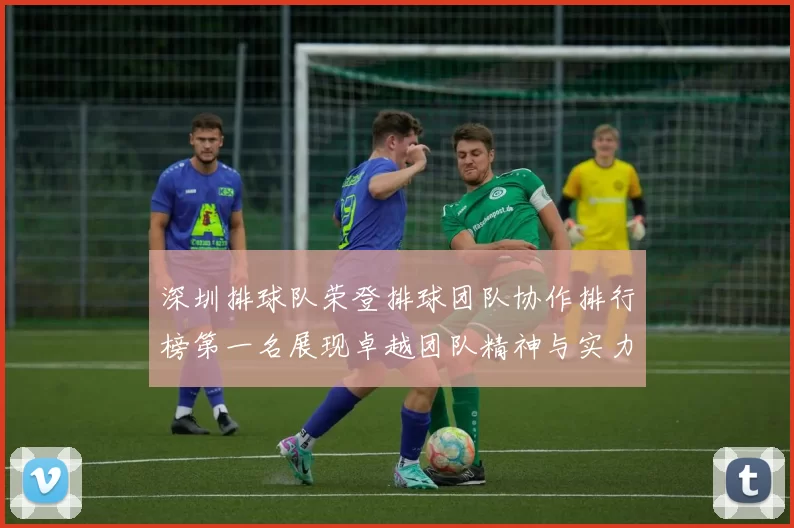 深圳排球队荣登排球团队协作排行榜第一名展现卓越团队精神与实力