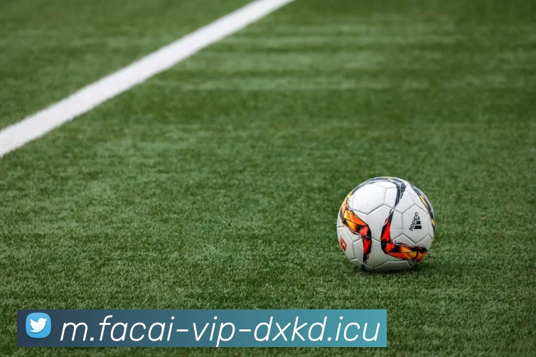 华体会体育发展历程